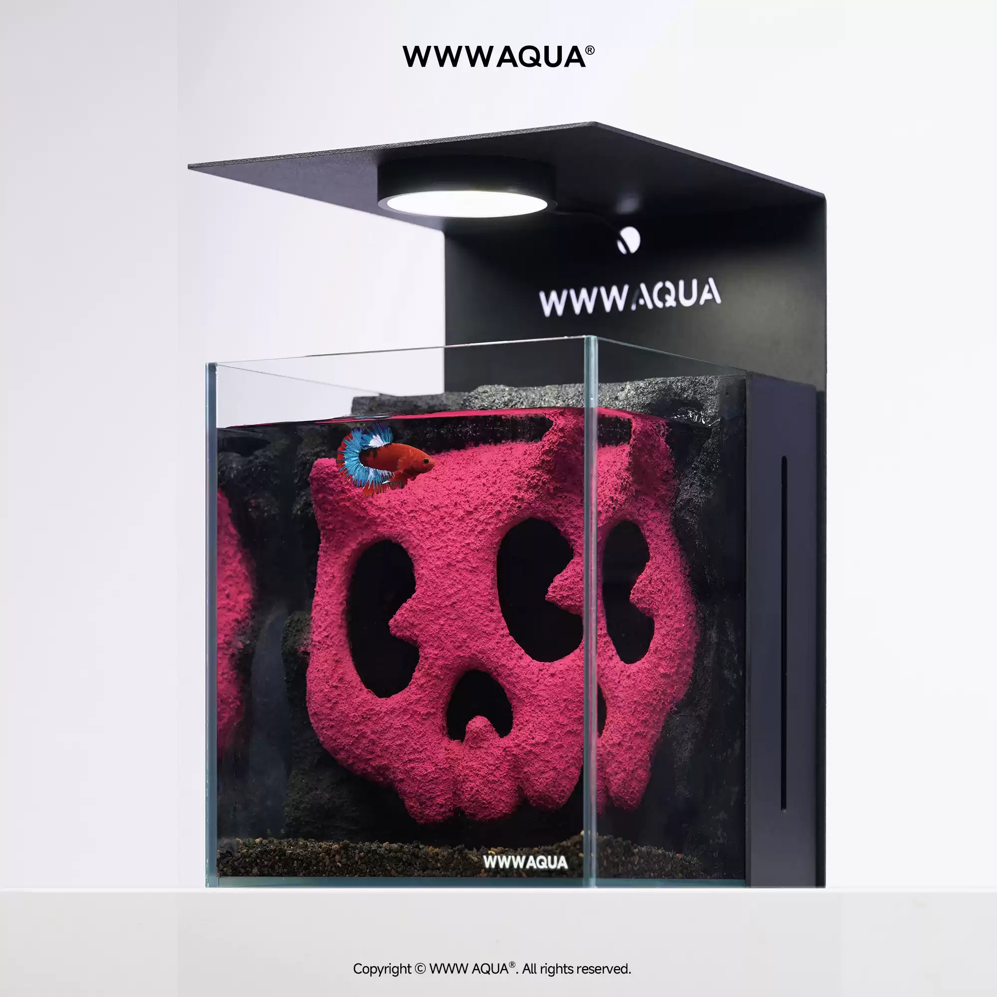 Universe Grocery Store Quirky  - Home Improvement Stores 리뷰 및 가격