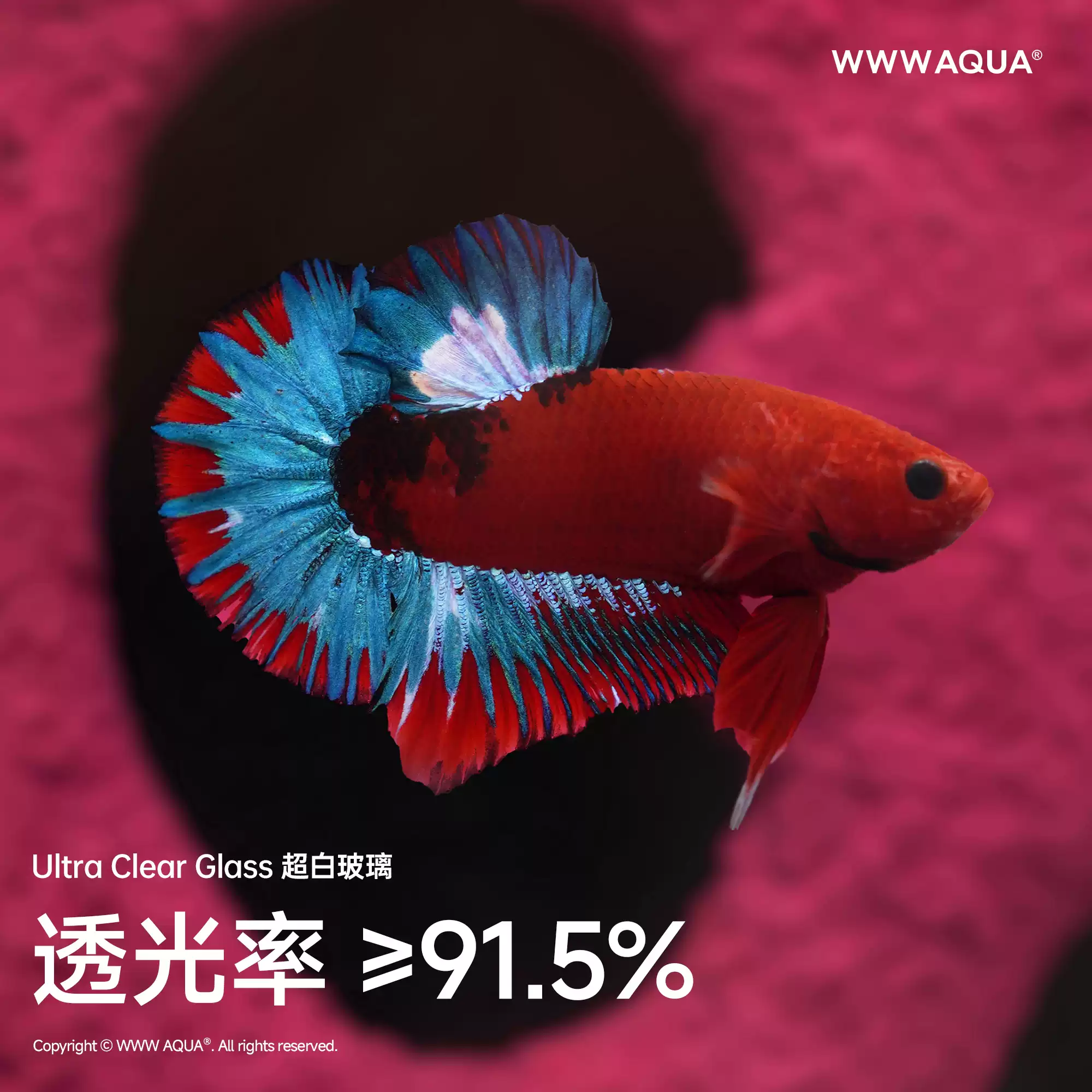 Universe Grocery Store Quirky  - Home Improvement Stores 리뷰 및 가격